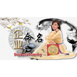企业命名 /  公司取名 Business Naming