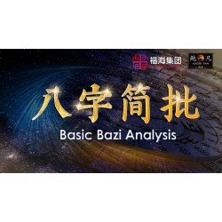 八字简批 Basic Bazi Analysis