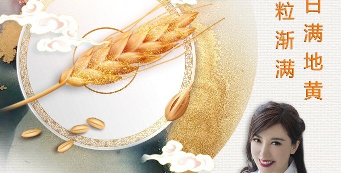 鲍一凡老师 | 2021 小满