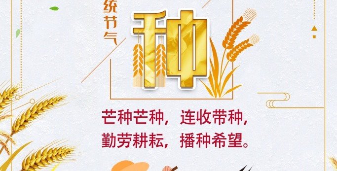 鲍一凡老师 | 2021 芒种