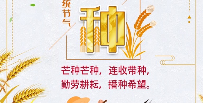 鲍一凡老师 | 2021 芒种 鲍一凡老师 | 2021 芒种