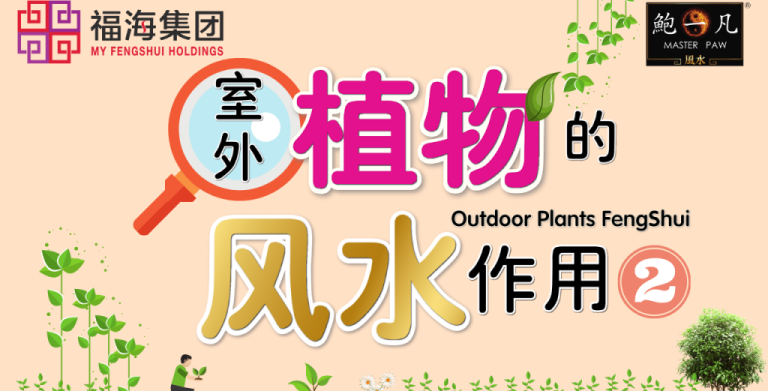 鲍一凡老师 | 室外植物的风水作用(上篇) 鲍一凡老师 | 室外植物的风水作用(上篇)