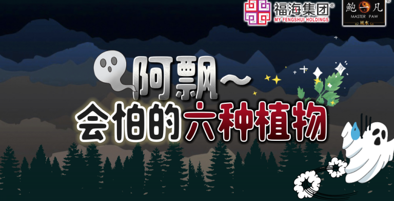 鲍一凡老师分享 | 阿飘会怕的六种植物 鲍一凡老师分享 | 阿飘会怕的六种植物