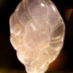 晶彩狐仙吊坠 Nine Tails Fairy Fox Pendant 晶彩狐仙吊坠 Nine Tails Fairy Fox Pendant