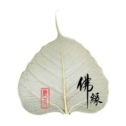 加持成愿菩提叶 加持成愿菩提叶