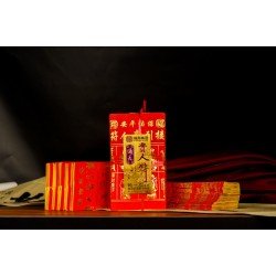 福海通天贵人符(10包送1包)