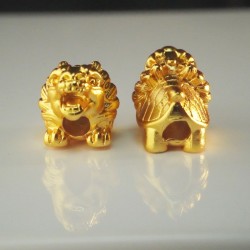 小金龙龟 Small Golden Dragon Turtle