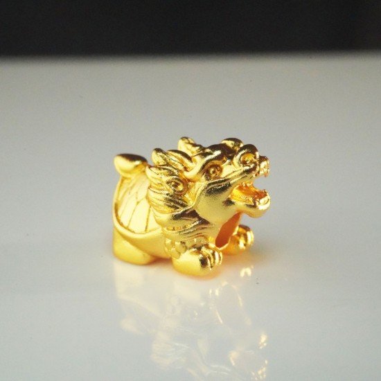 小金龙龟 Small Golden Dragon Turtle 小金龙龟 Small Golden Dragon Turtle