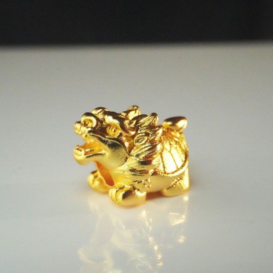 小金龙龟 Small Golden Dragon Turtle 小金龙龟 Small Golden Dragon Turtle