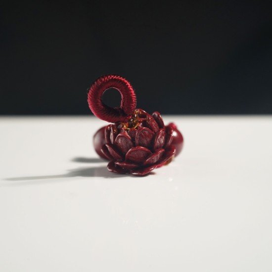 朱砂小莲花 Cinnabar Lotus 朱砂小莲花 Cinnabar Lotus