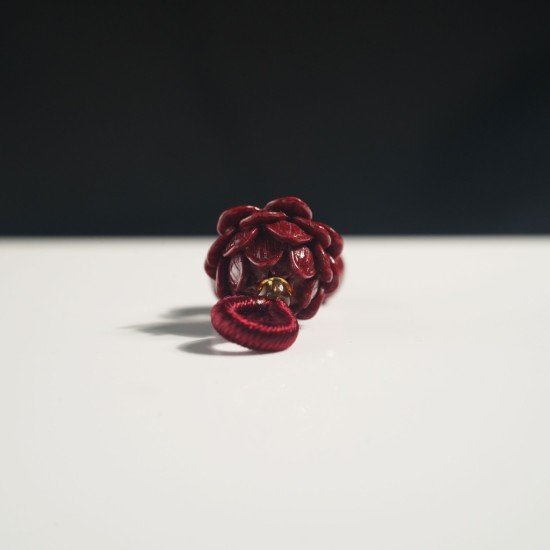 朱砂小莲花 Cinnabar Lotus 朱砂小莲花 Cinnabar Lotus