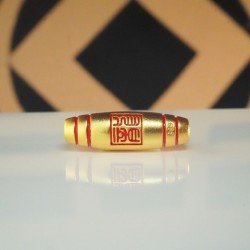 红龙天珠 Red Dragon Dzi Bead