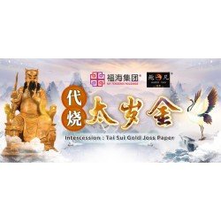 代烧太岁金 Intercession:Tai Sui Gold Joss Paper
