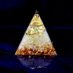 咬钱金蟾蜍奥根 Golden Money Toad Orgonite