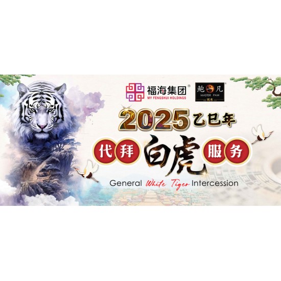 2025乙巳年代拜白虎服务