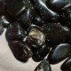 消磁碎水晶：黑曜石 Tumbled Obsidian