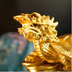 金龙龟（大）  Golden Turtle Dragon (Big Sized)