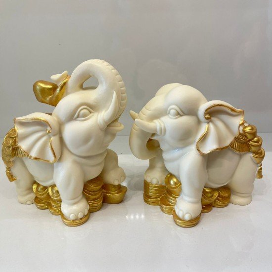 象牙果大象 象牙果大象