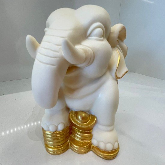 象牙果大象 象牙果大象