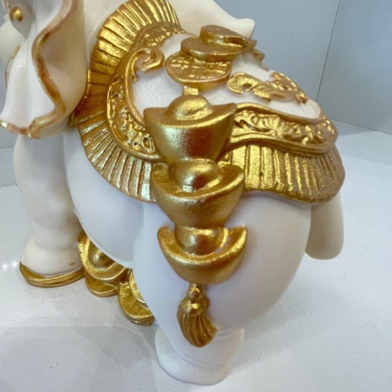 象牙果大象 象牙果大象