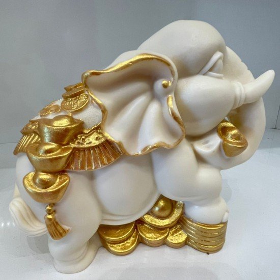 象牙果大象 象牙果大象