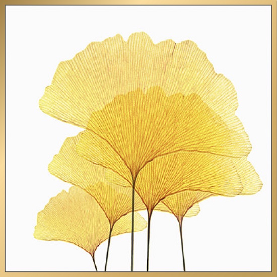 风水画 PT00013 : 吉祥如意