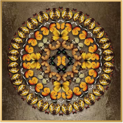 风水画 PT00051 : 金锣腾空