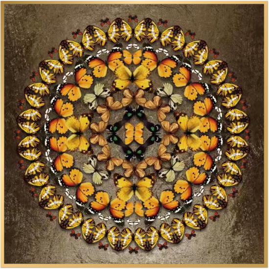 风水画 PT00051 : 金锣腾空 风水画 PT00051 : 金锣腾空