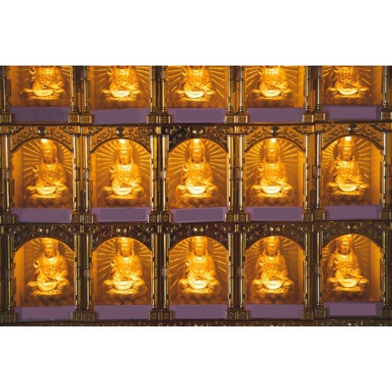 2026 点光明灯服务 Light Offering Dharma Service 2026