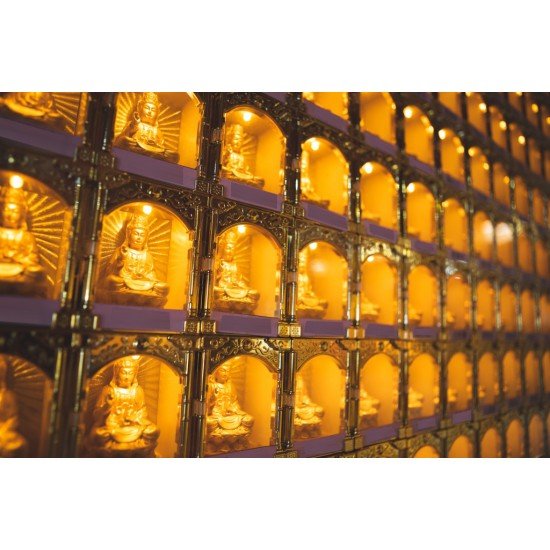 2026 点光明灯服务 Light Offering Dharma Service 2026