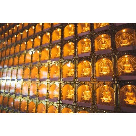 2026 点光明灯服务 Light Offering Dharma Service 2026