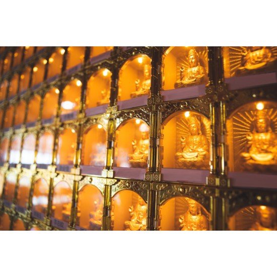 2026 点光明灯服务 Light Offering Dharma Service 2026