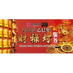2025乙巳年 财禄灯服务